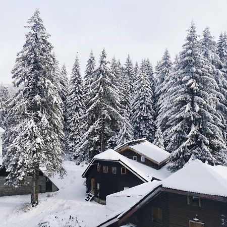 Apartments Zed Vila Zvoncica Kopaonik Bagian luar foto