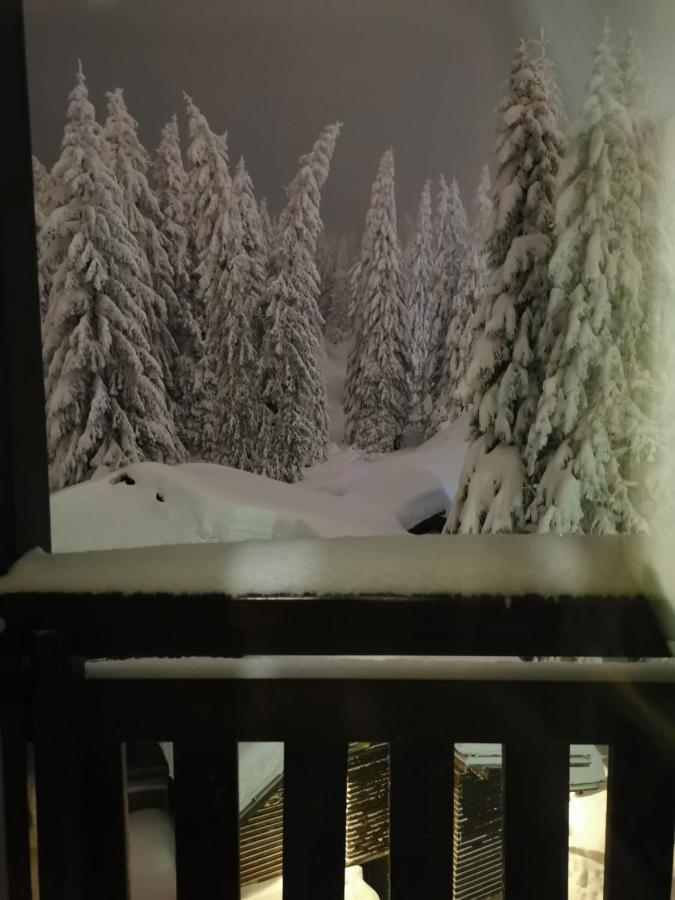 Apartments Zed Vila Zvoncica Kopaonik Bagian luar foto