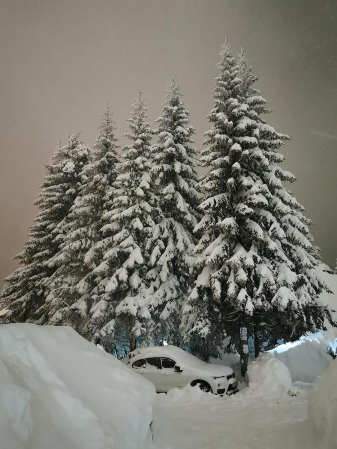 Apartments Zed Vila Zvoncica Kopaonik Bagian luar foto