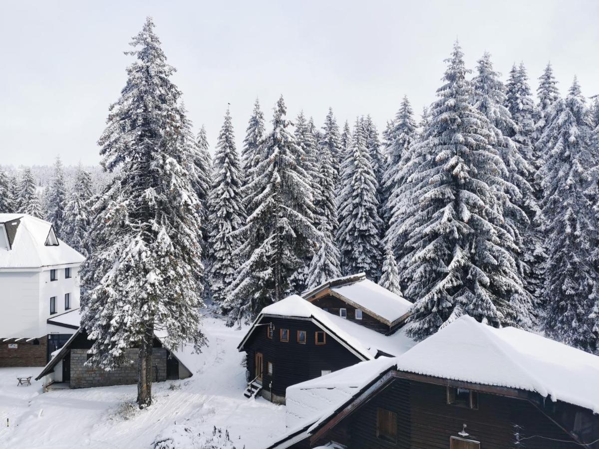 Apartments Zed Vila Zvoncica Kopaonik Bagian luar foto
