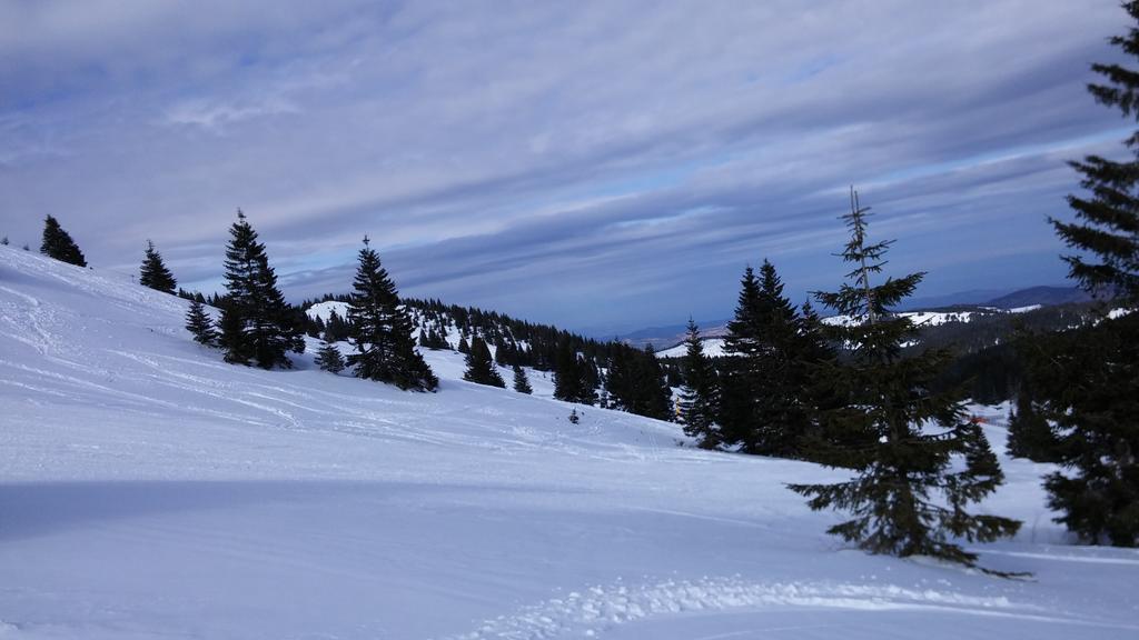 Apartments Zed Vila Zvoncica Kopaonik Bagian luar foto