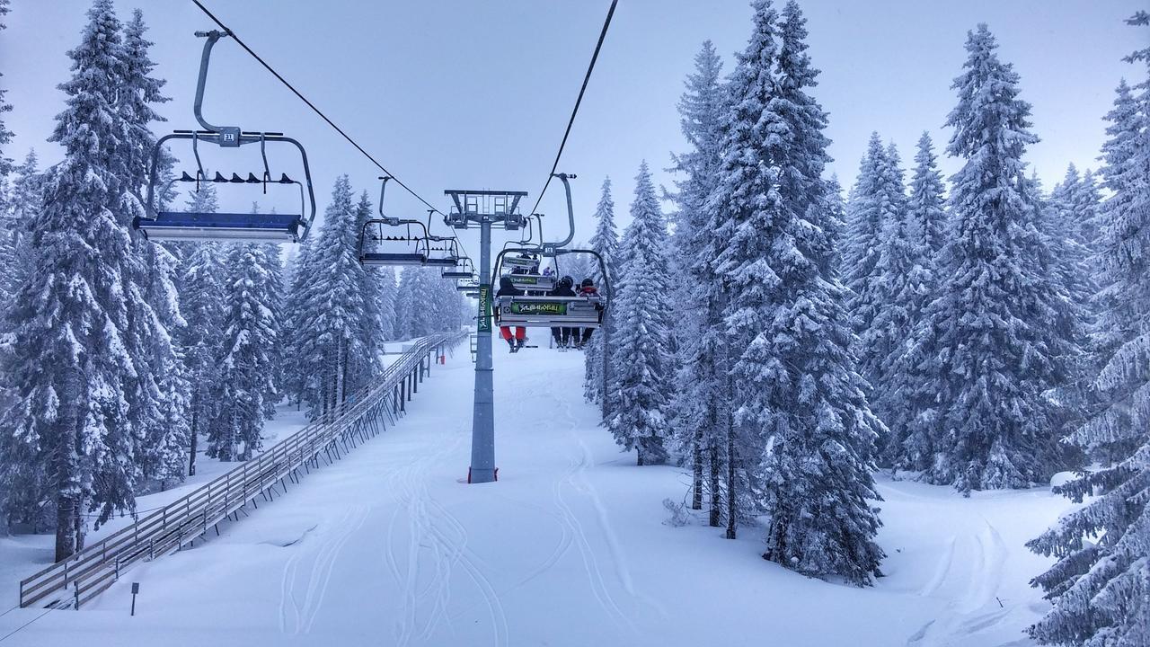Apartments Zed Vila Zvoncica Kopaonik Bagian luar foto