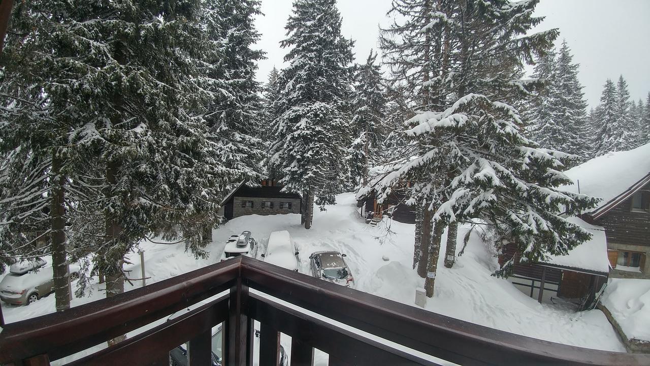 Apartments Zed Vila Zvoncica Kopaonik Bagian luar foto
