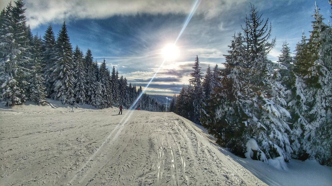 Apartments Zed Vila Zvoncica Kopaonik Bagian luar foto