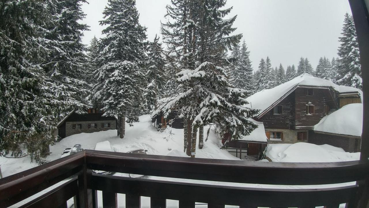 Apartments Zed Vila Zvoncica Kopaonik Bagian luar foto